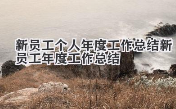新员工个人年度工作总结 新员工年度工作总结