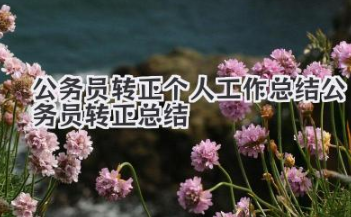 公务员转正个人工作总结 公务员转正总结